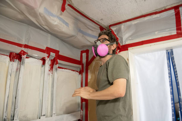 Environmental Consulting for Mold Prevention in Fife Heights, WA